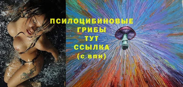 дживик Зеленодольск