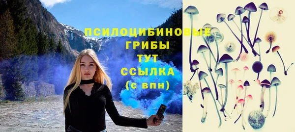 мдпв Заводоуковск
