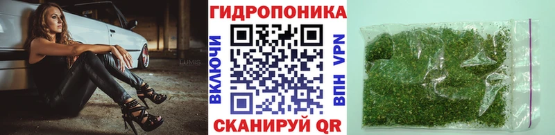 Купить закладки  Лихославль  Каннабис Amnesia 